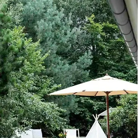 Nature-inspired Summer House Near Sejerobugten